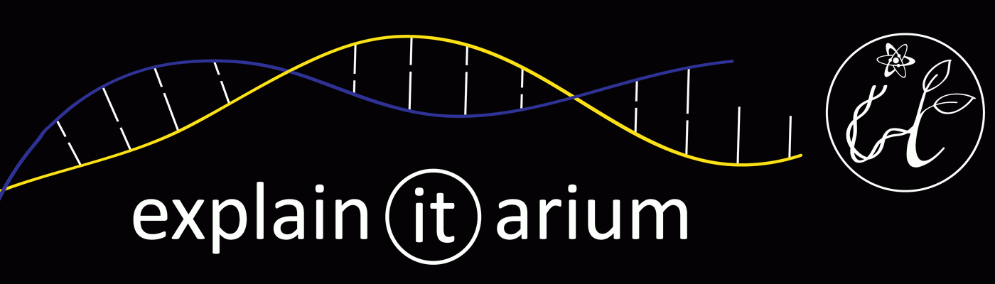 Explain-It-Arium